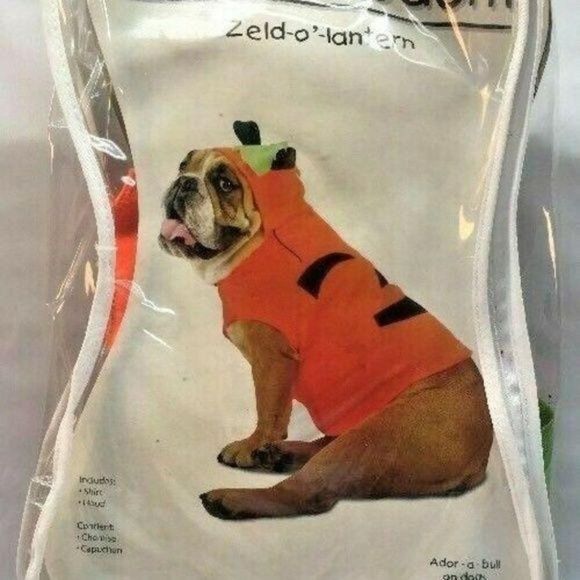 Dog Costume Pumpkin‎ Zelda Wisdom Zeld-O'-LATERN medium - Picture 1 of 2